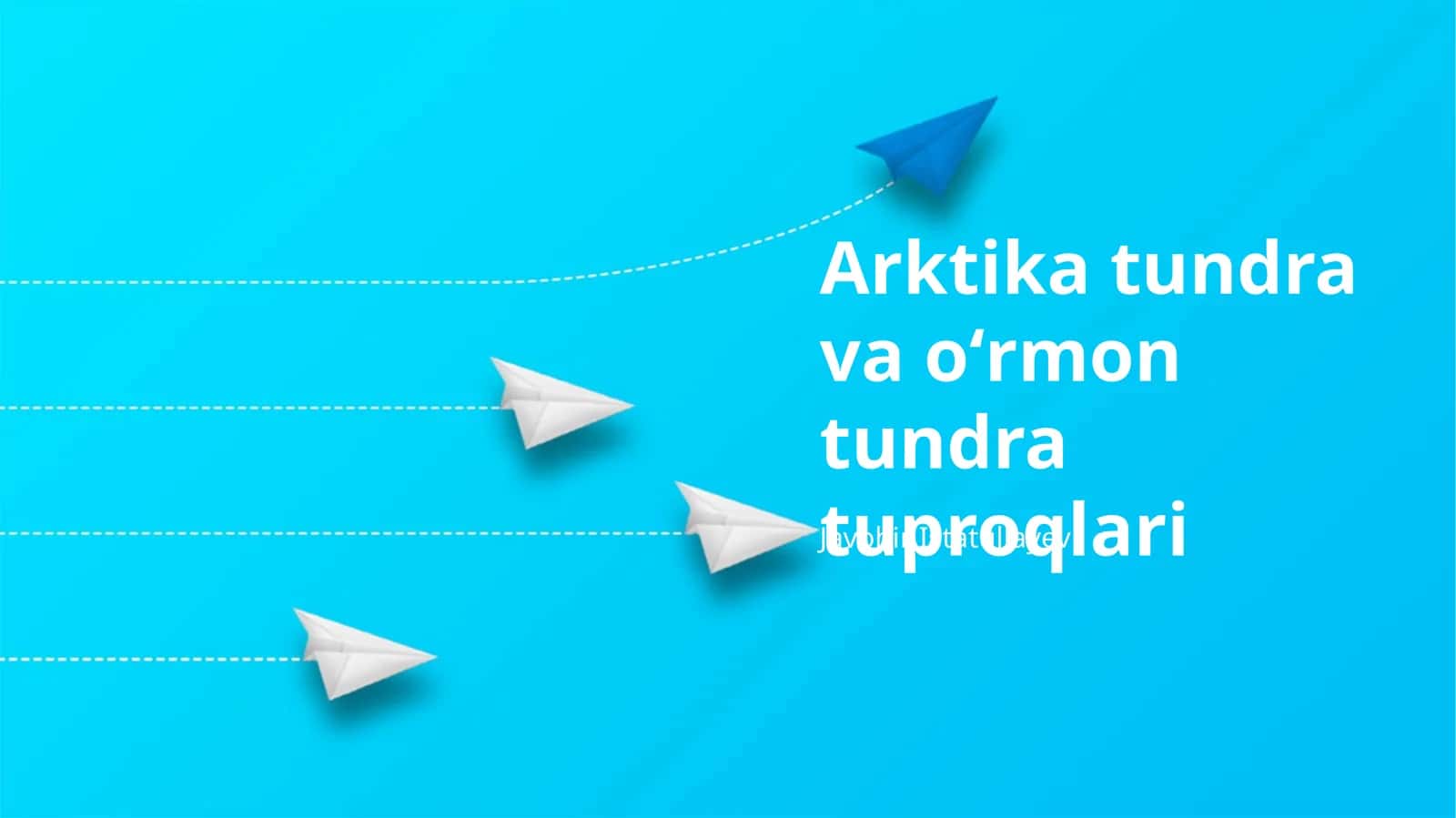 Arktika tundra va oʻrmon tundra tuproqlari