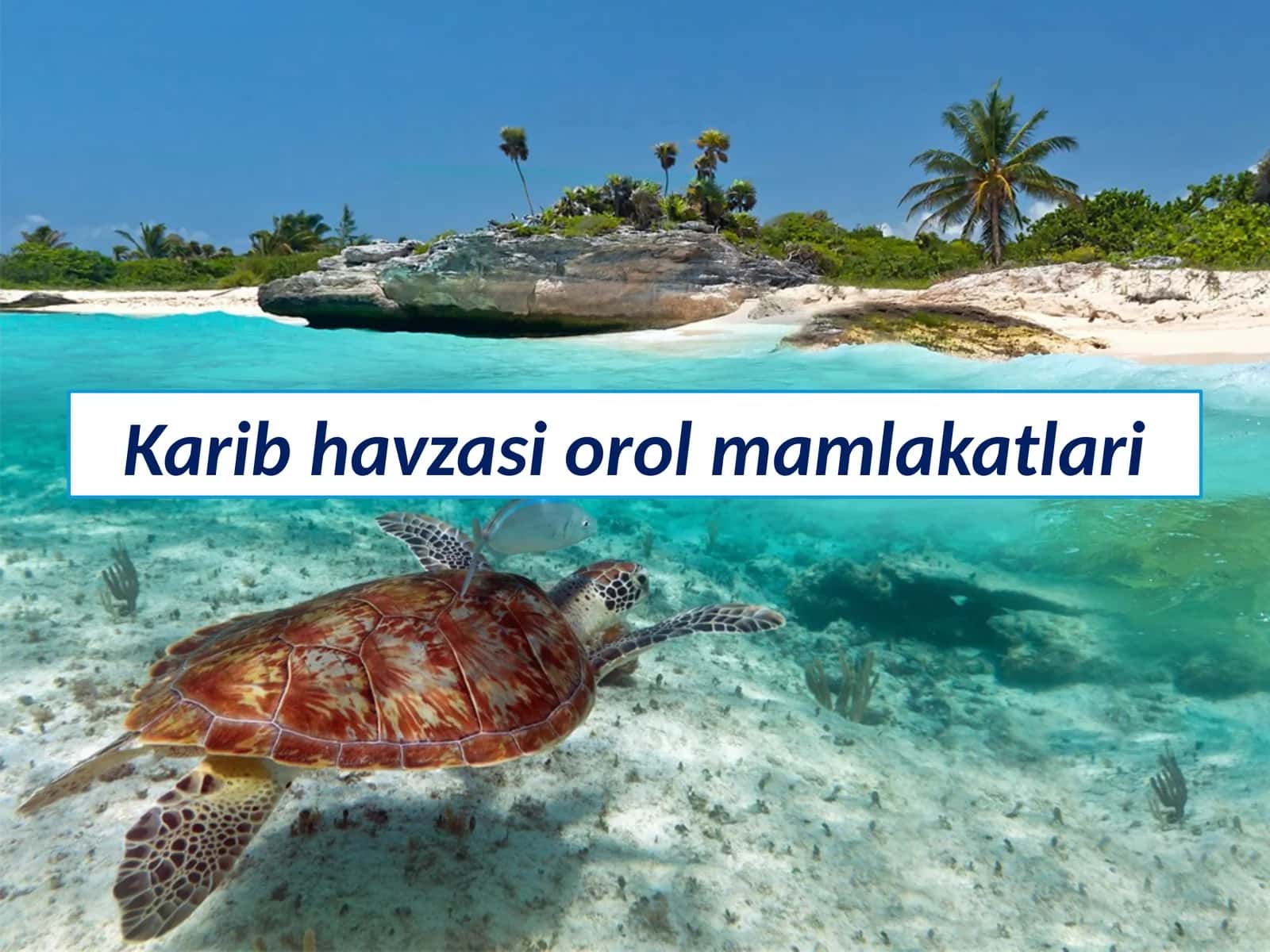 Karib havzasi orol mamlakatlari