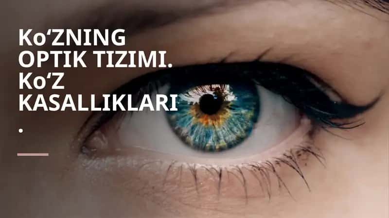Koʻzning optik tizimi. Ko'z kasalliklari