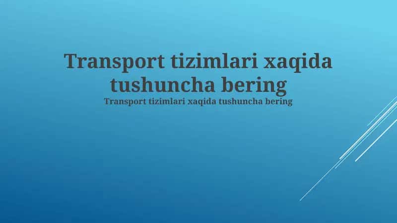 Transport tizimlarining turlari