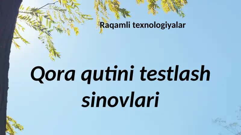 Raqamli texnologiyalar