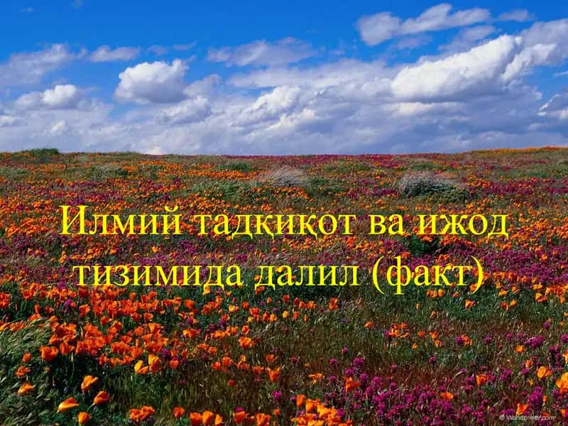 Илмий тадқиқот ва ижод тизимида далил (факт)