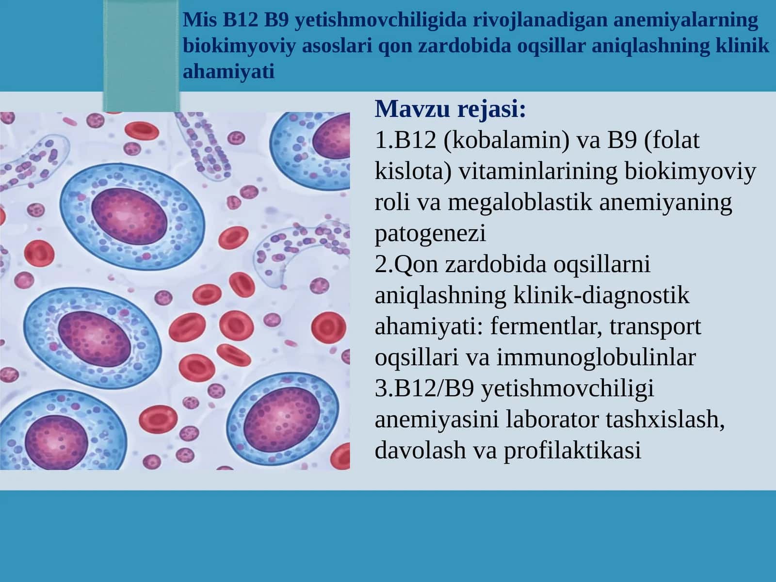 Mis B12 B9 yetishmovchiligida rivojlanadigan anemiyalarning biokimyoviy asoslari qon zardobida oqsillar aniqlashning klinik ahamiyati  prezentatsiya