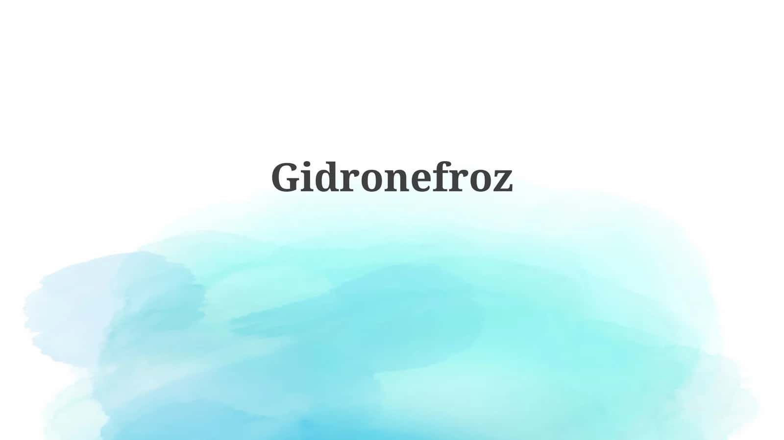 Gidronefroz