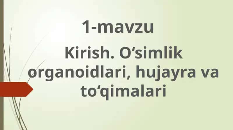 O‘simlik hujayratuzilishi