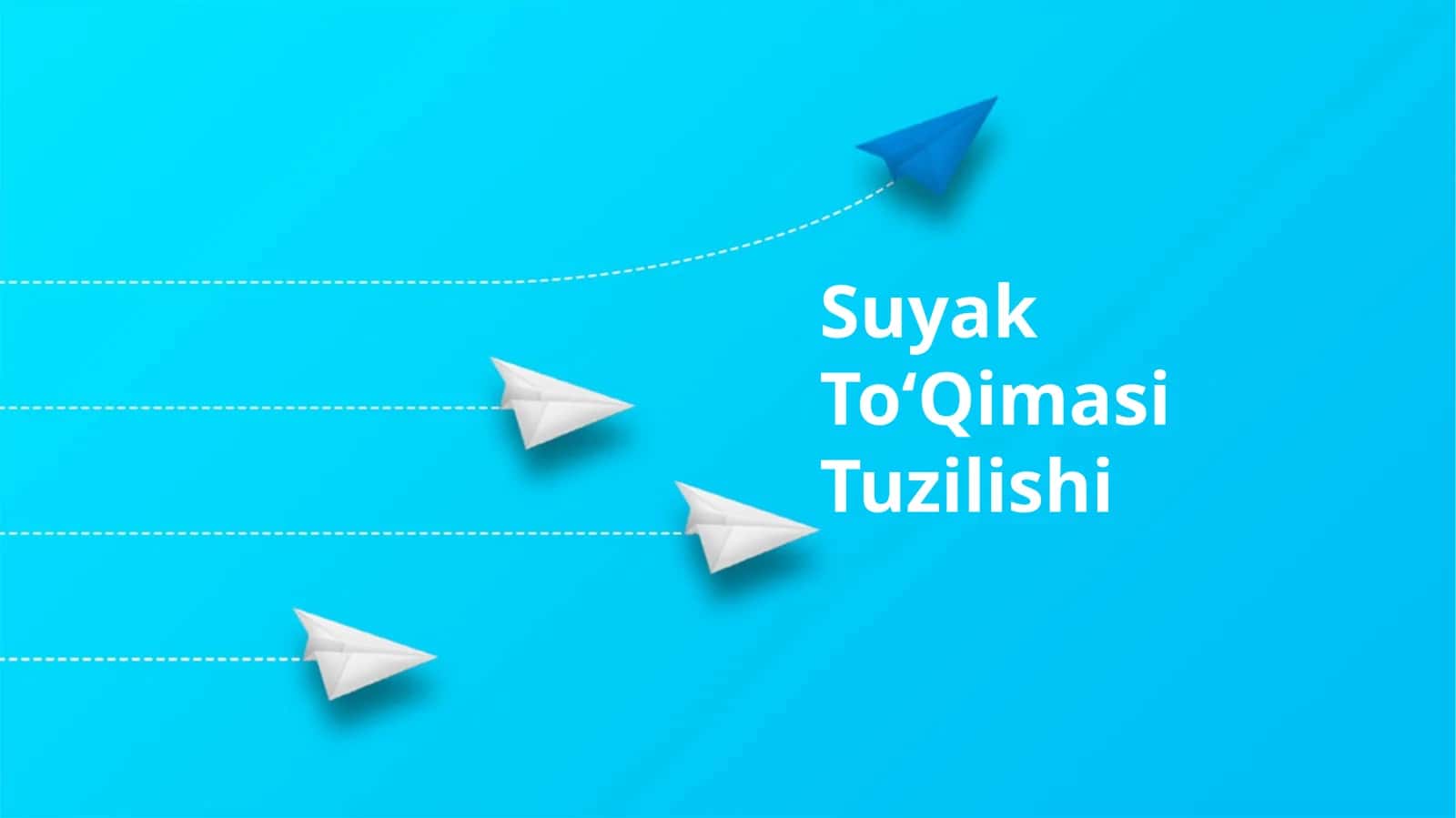 Suyak ToʻQimasi Tuzilishi