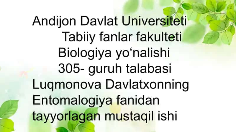 Suvaraklar va Beshiktebratarlar Turkumi