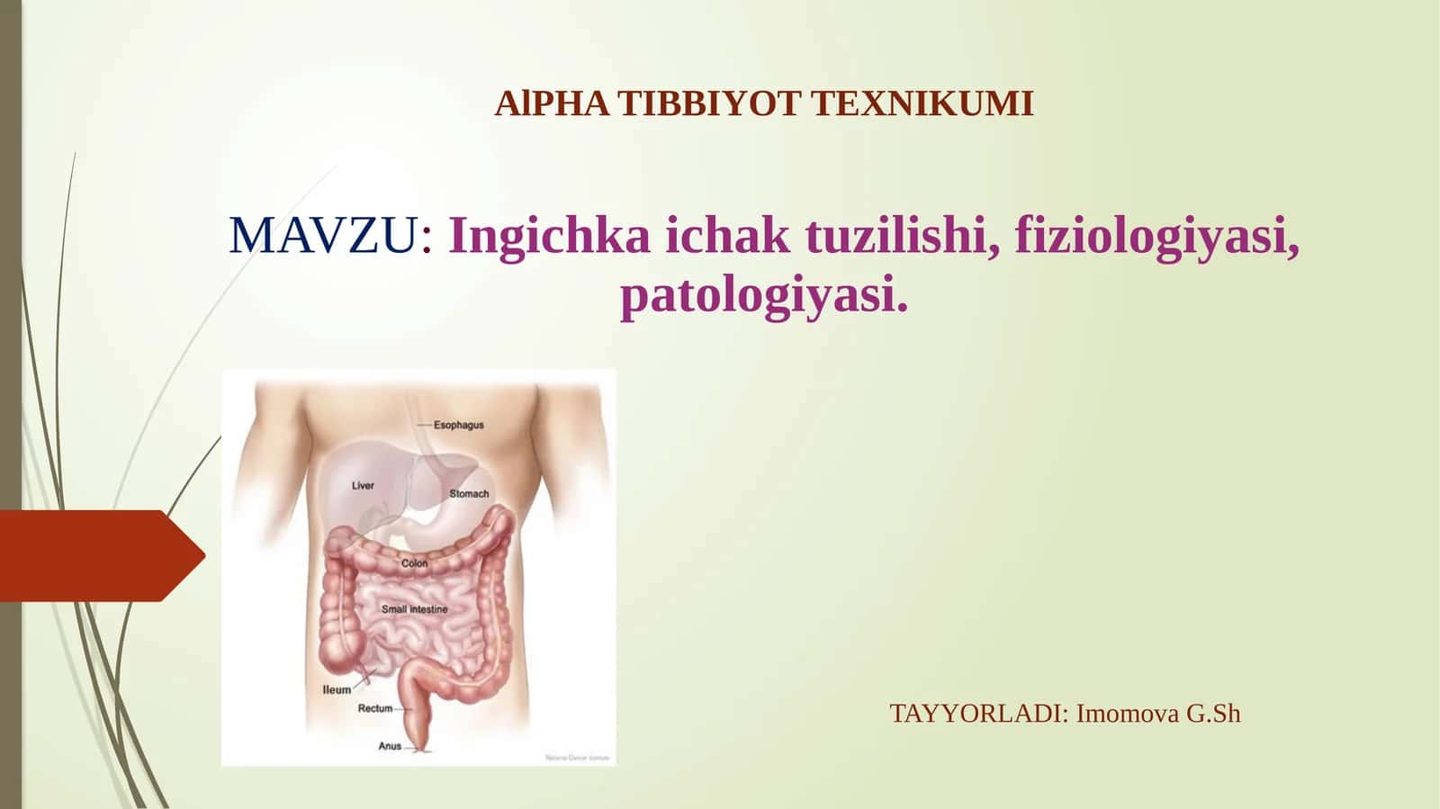 AlPHATIBBIYOT TEXNIKUMI