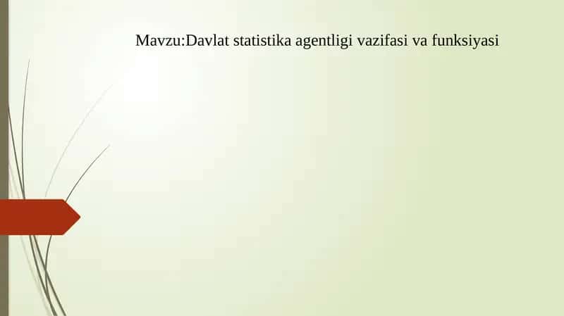 Davlat statistika agentligi vazifasi va funksiyasi