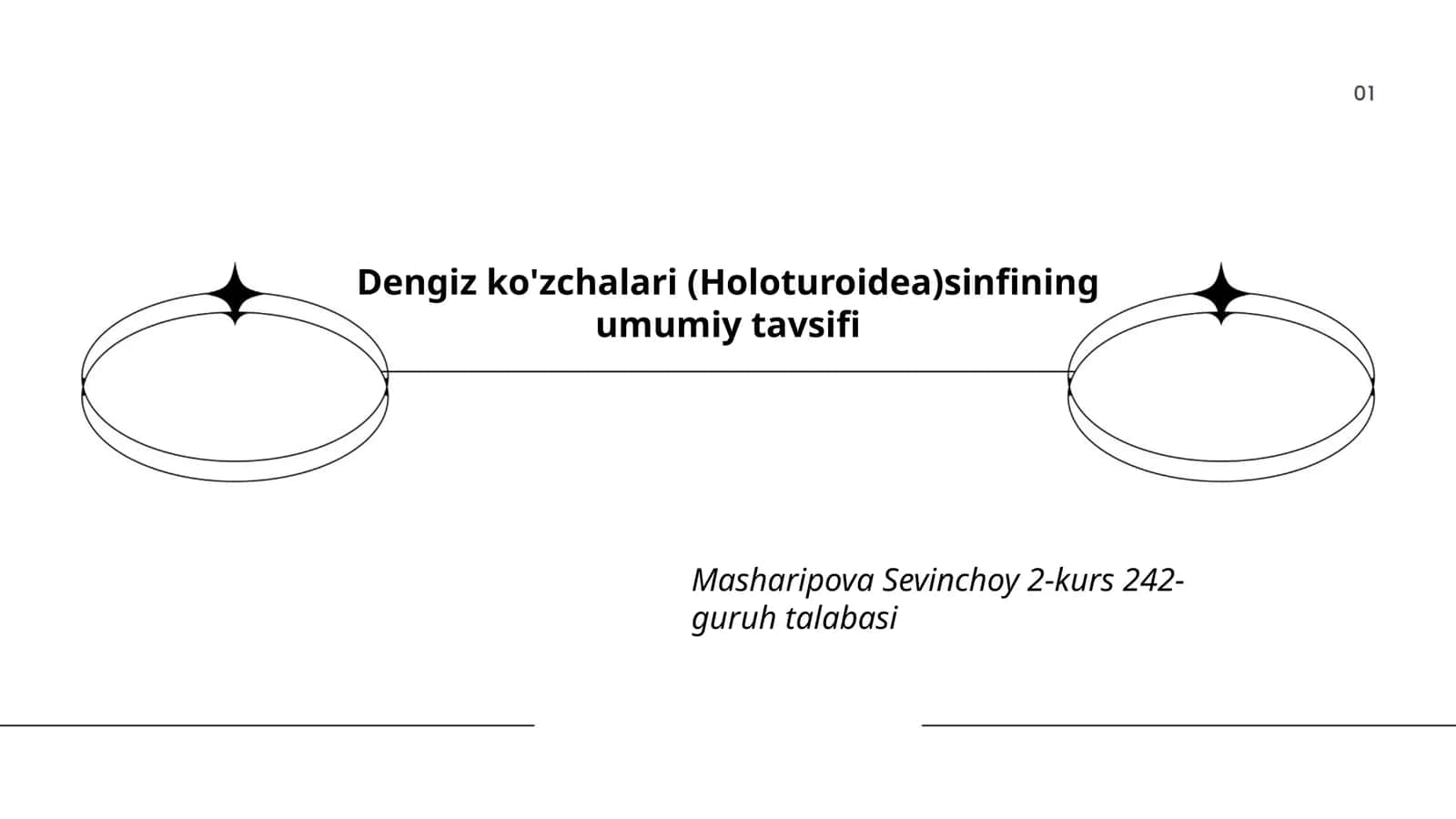 Dengiz ko'zchalari (Holoturoidea)sinfining umumiy tavsifi