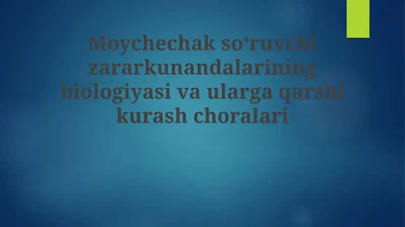 Moychechakning so‘ruvchi zararkunandalari