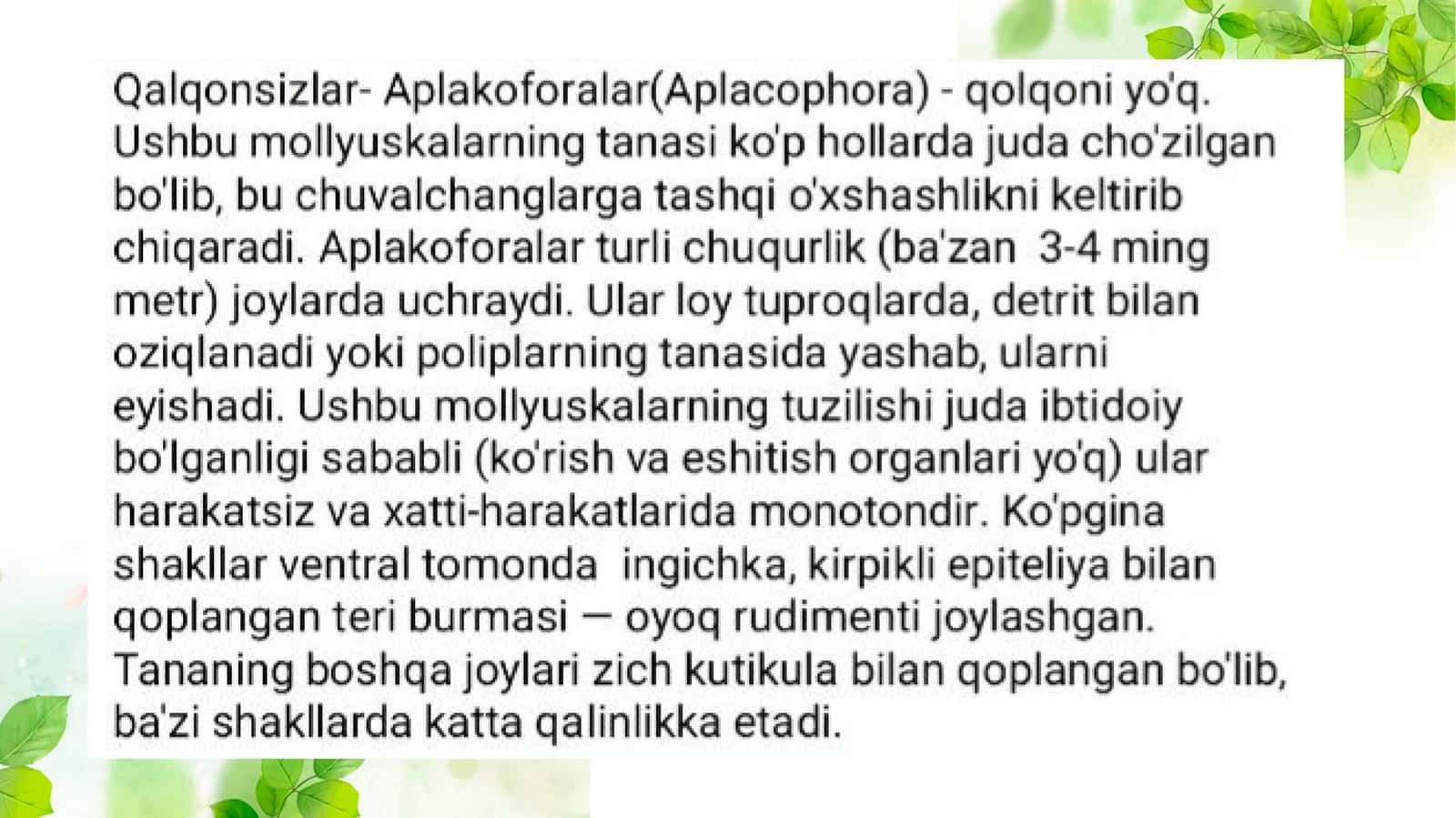 Qalqonsizlar