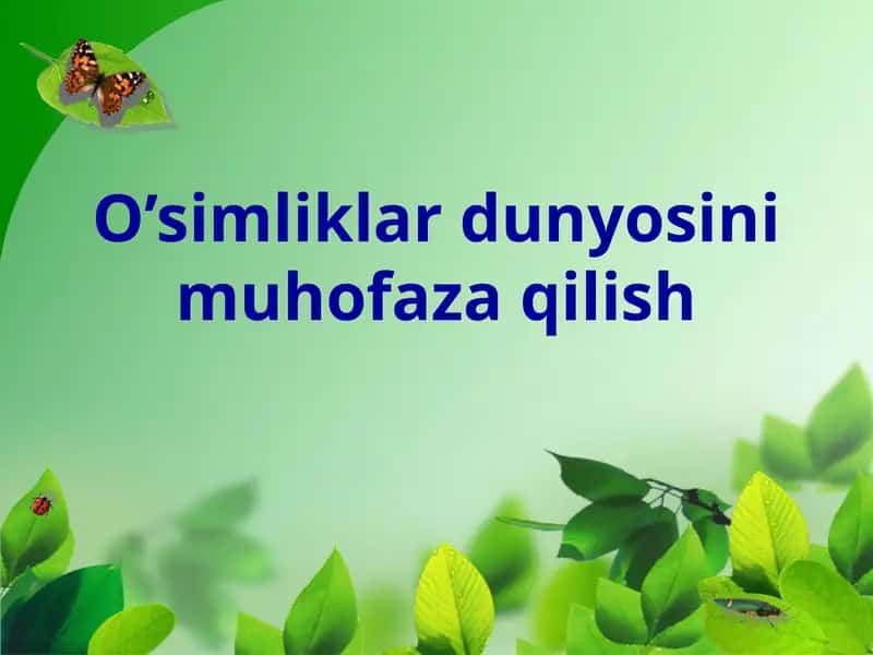 O’simliklar dunyosini muhofaza qilish