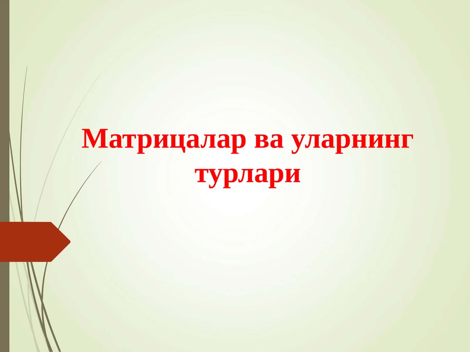 Матрицалар ва уларнинг турлари