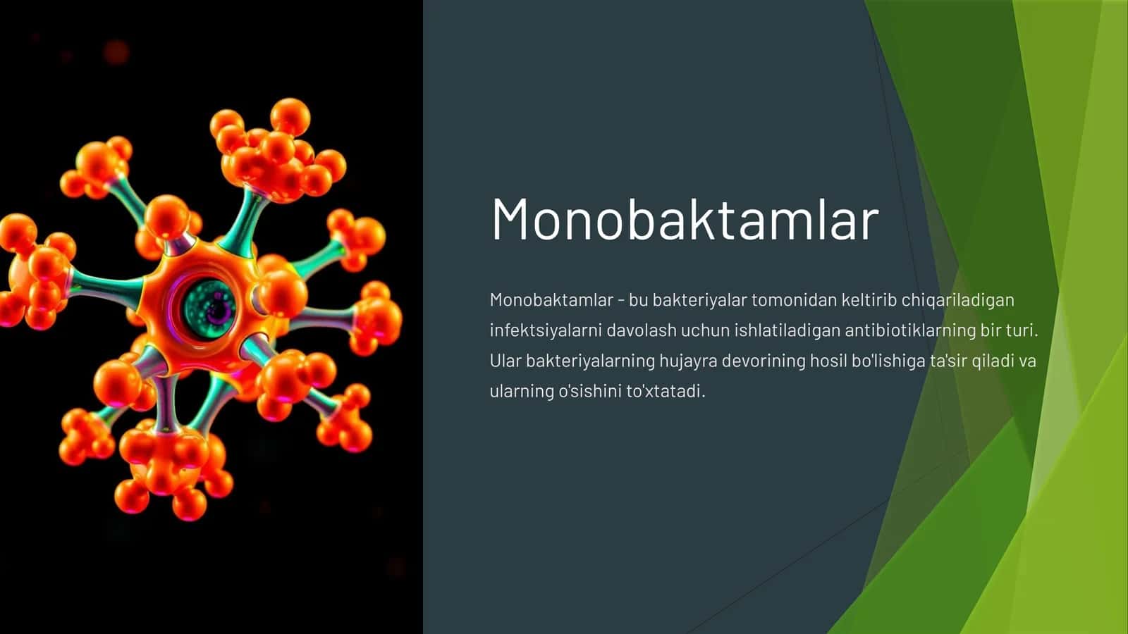 Monobaktamlar