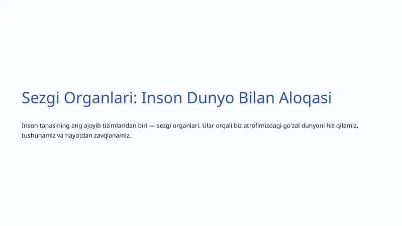 Sezgi Organlari: Inson Dunyo Bilan Aloqasi
