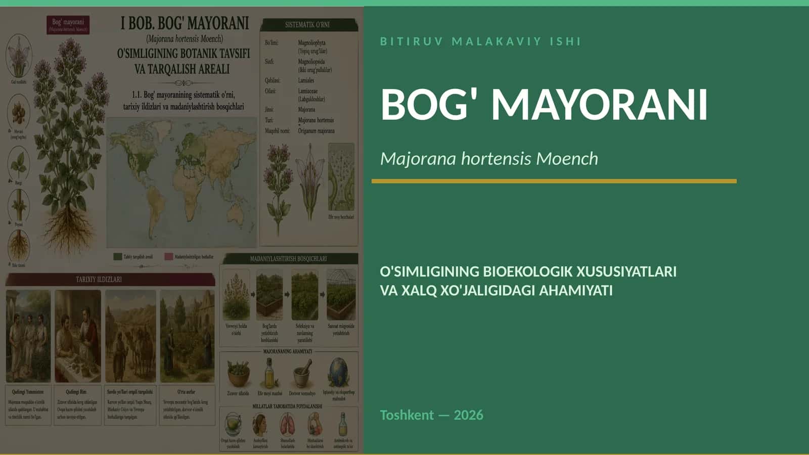 BITIRUV MALAKAVIY ISHI