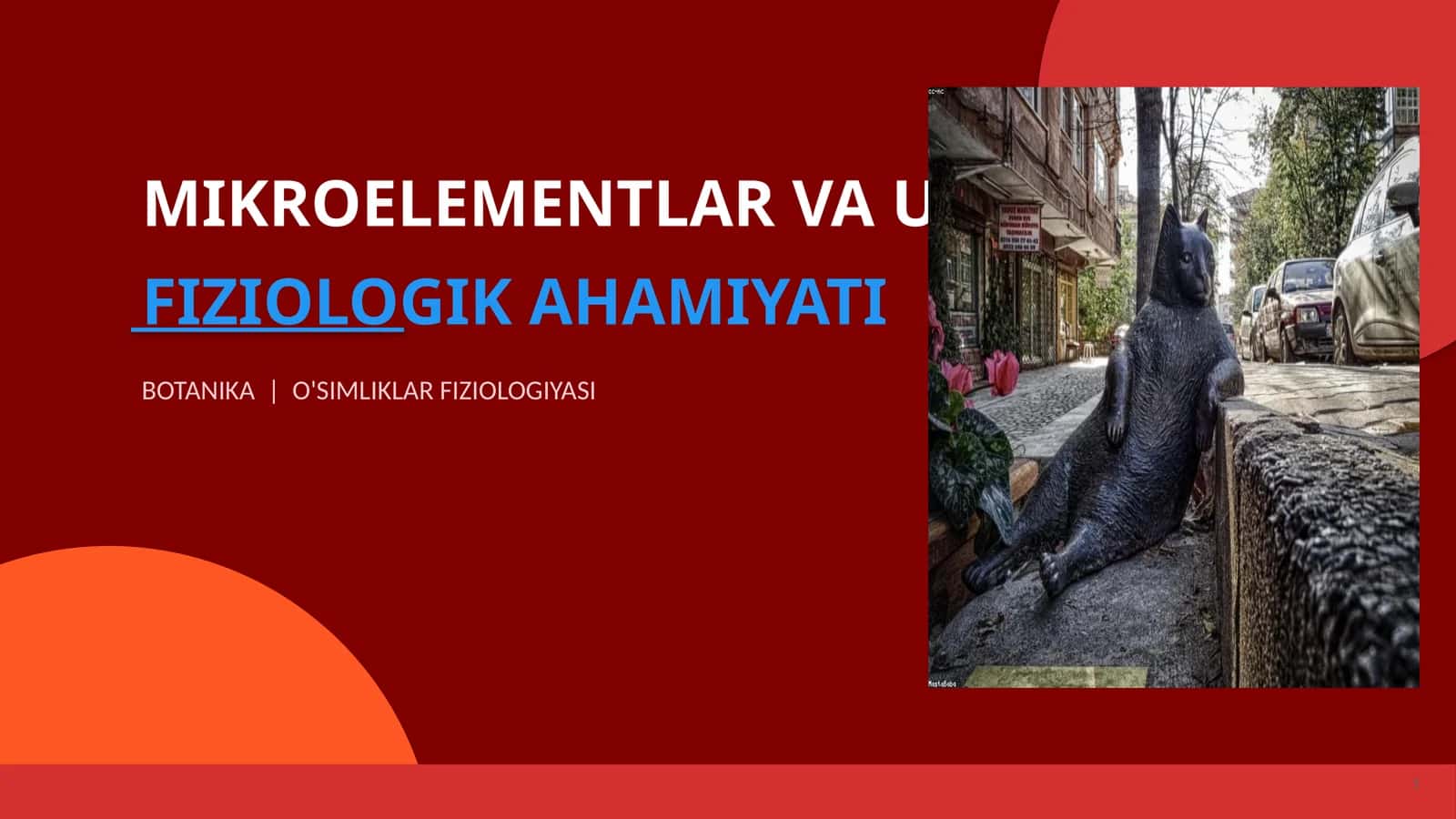 Mikroelementlar va ularning fiziologik ahmiyati