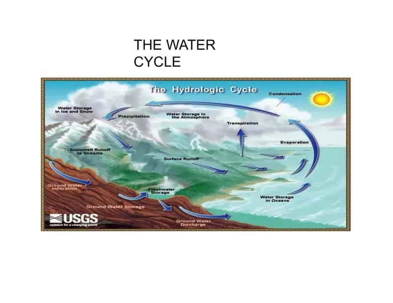 THE WATER CYCLE