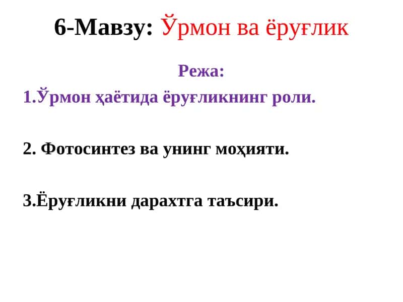 Ўрмон ва ёруғлик