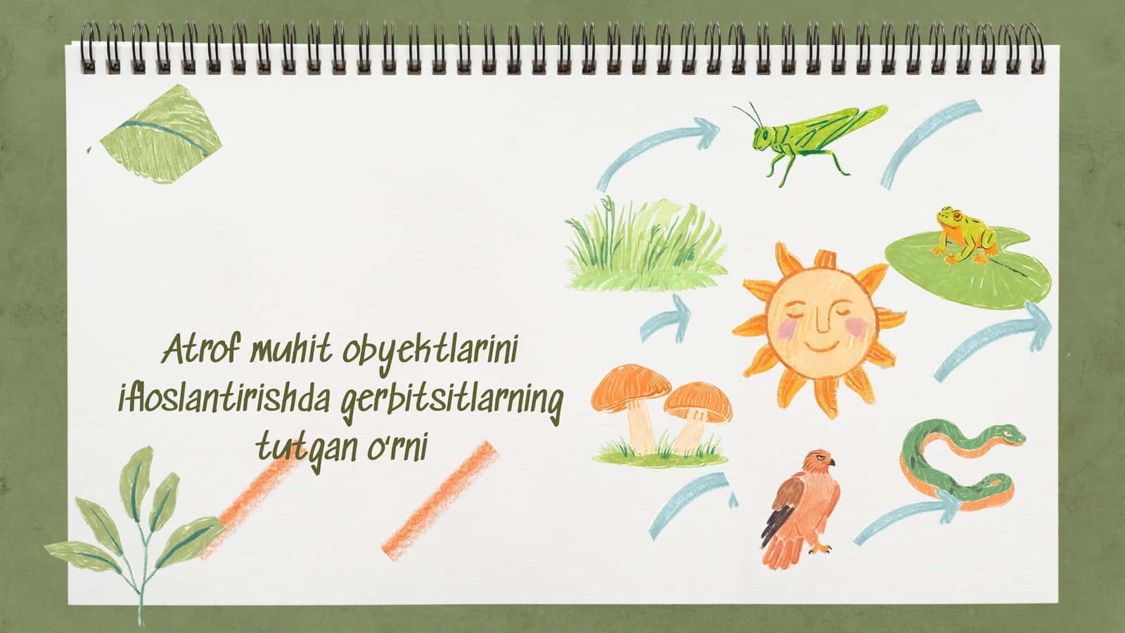 Atrof muhit obyektlarini ifloslantirishda gerbitsitlarning tutgan oʻrni