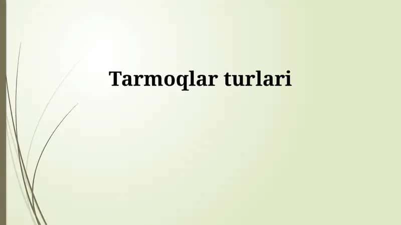 Tarmoqlar turlari