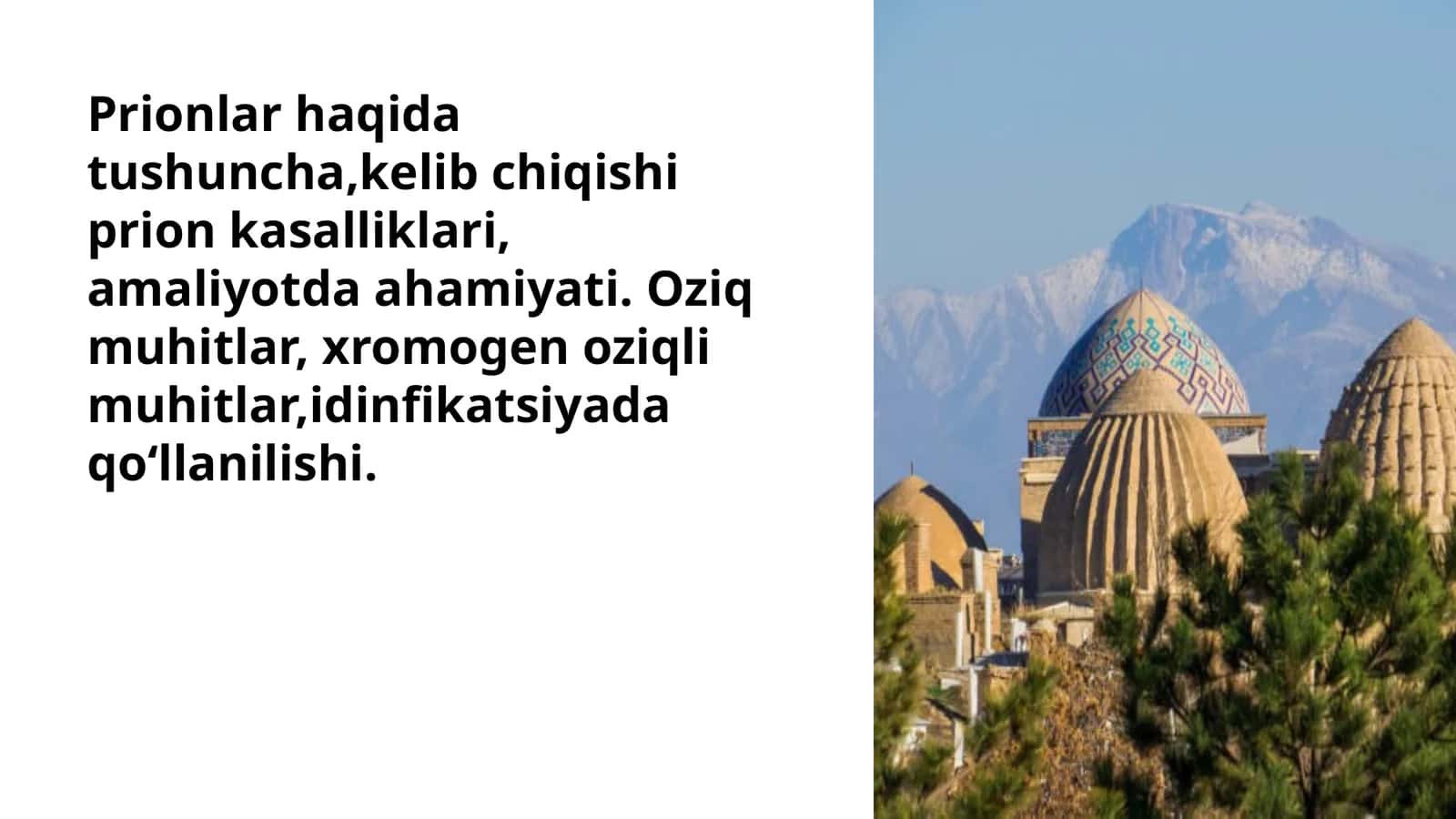 Prionlar haqida tushuncha,kelib chiqishi prion kasalliklari, amaliyotda ahamiyati. Oziq muhitlar, xromogen oziqli muhitlar,idinfikatsiyada qoʻllanilishi.