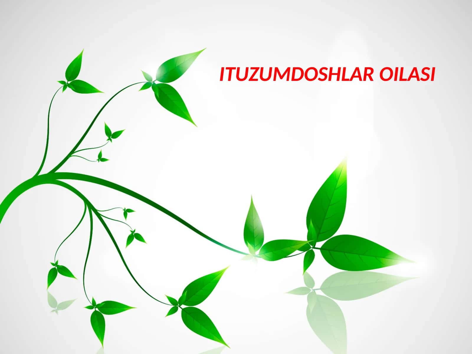 ITUZUMDOSHLAR OILASI