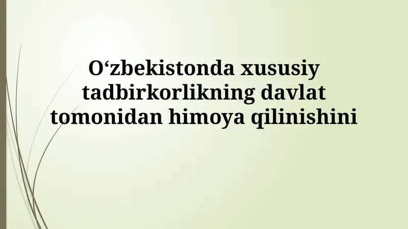 Xususiy tadbirkorlikning davlat tomonidan himoyasi