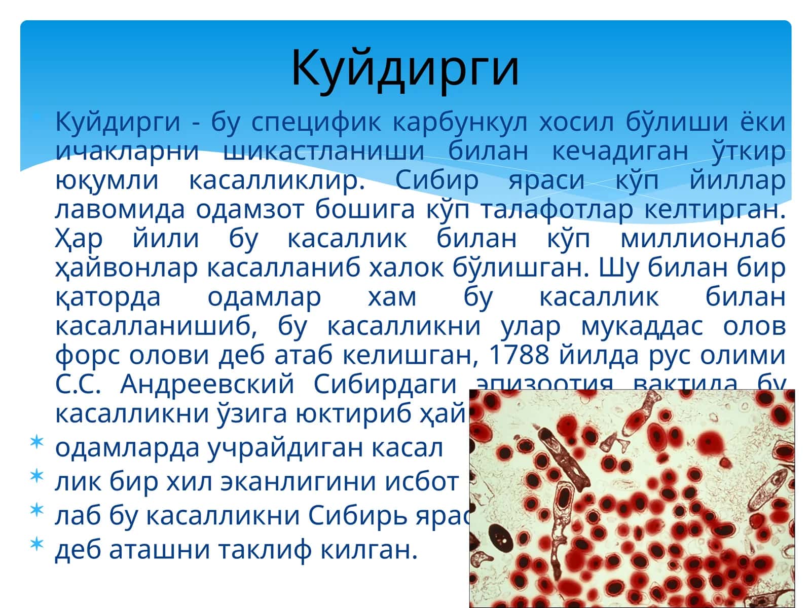 Сибиряраси