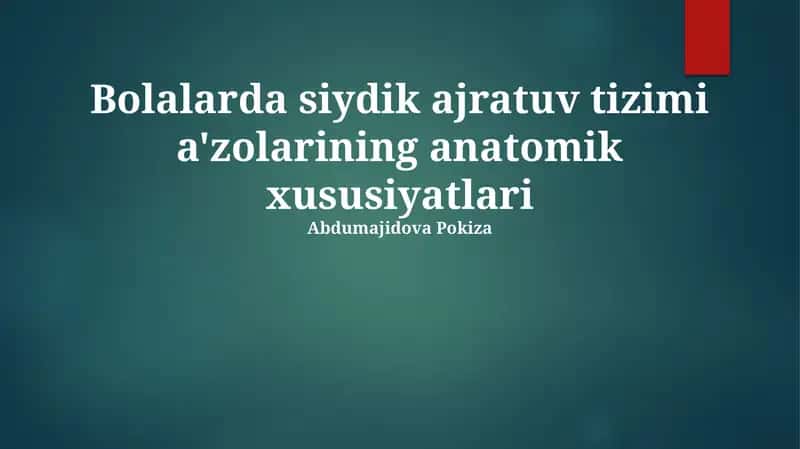 Bolalarda siydik ajratuv tizimi a'zolarining anatomik xususiyatlari