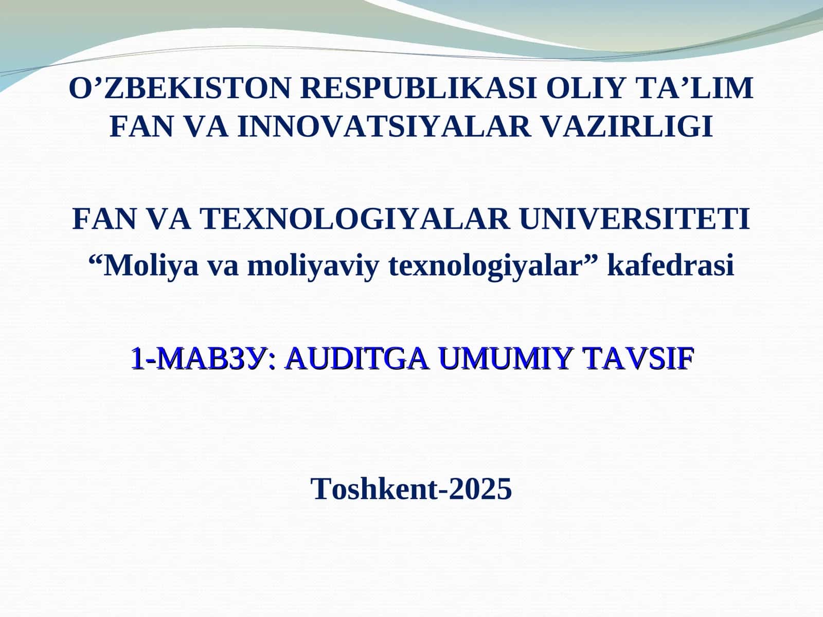 AUDITGA UMUMIY TAVSIF