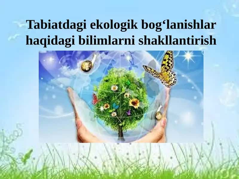 Tabiatdagi ekologik bog‘lanishlar haqidagi bilimlarni shakllantirish
