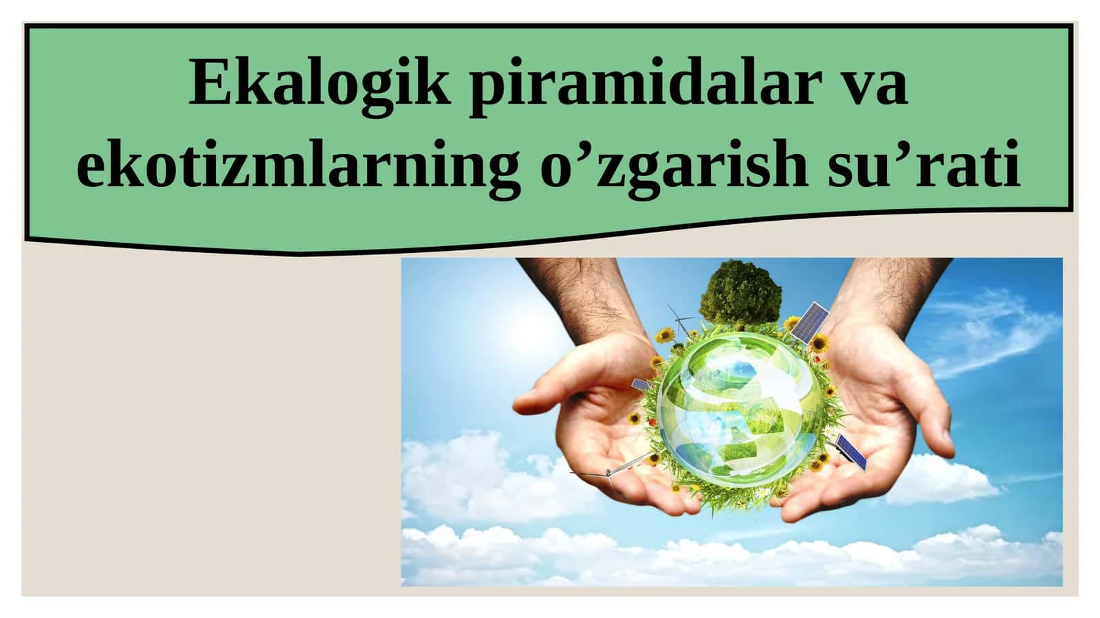 Ekologik piramidalar va ekotizmlarning o’zgarish su’rati