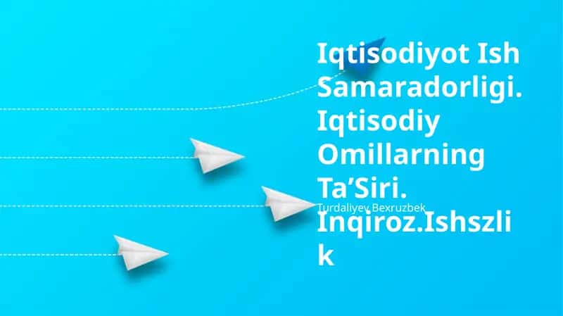 Iqtisodiy samaradorlik va mahsuldorlik