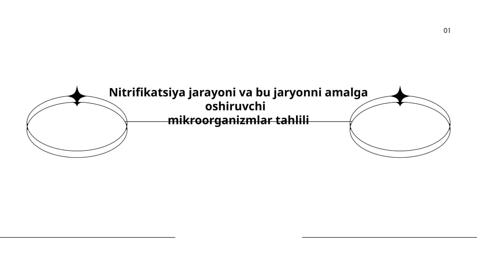 Nitrifikatsiya jarayoni va bu jaryonni amalga oshiruvchi mikroorganizmlar tahlili