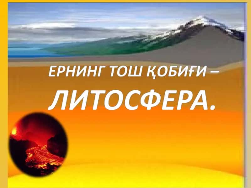 Ернинг Ички Тузилиши