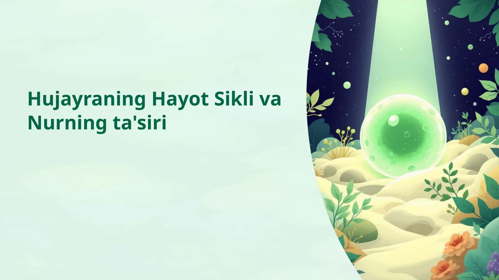 Hujayraning Hayot Sikli va Nurningta'siri