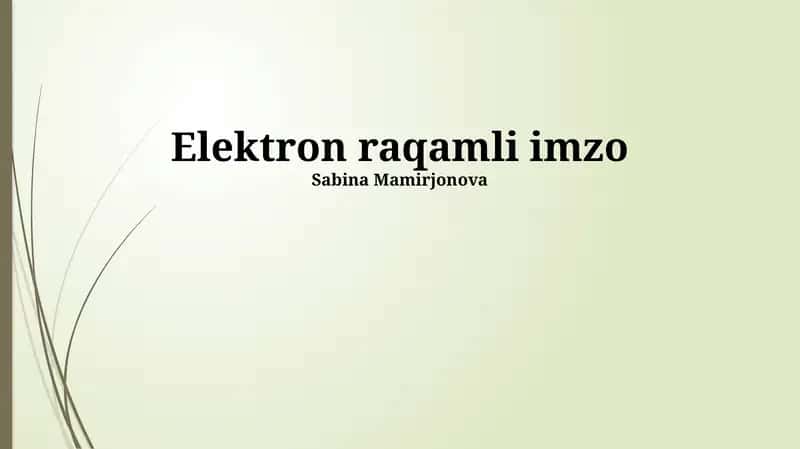 Elektron raqamli imzo