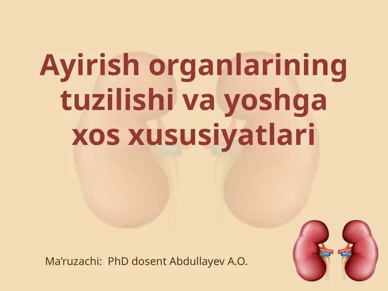 Ayirishorganlarining tuzilishi va yoshga oid xususiyatlari