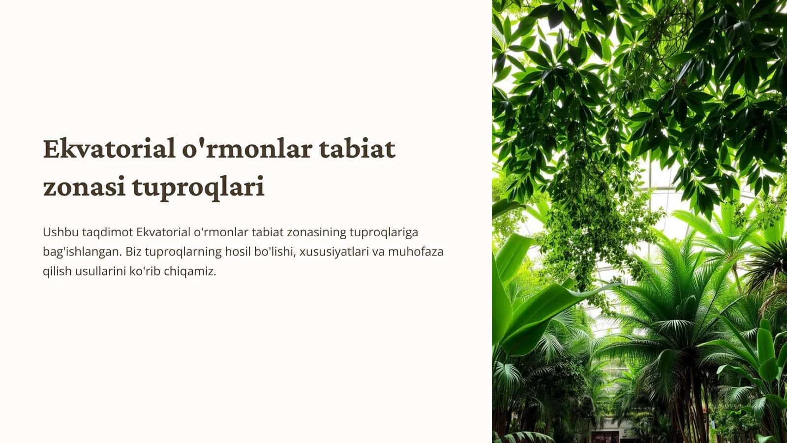 Ekvatorial o'rmonlar tabiat zonasi tuproqlari