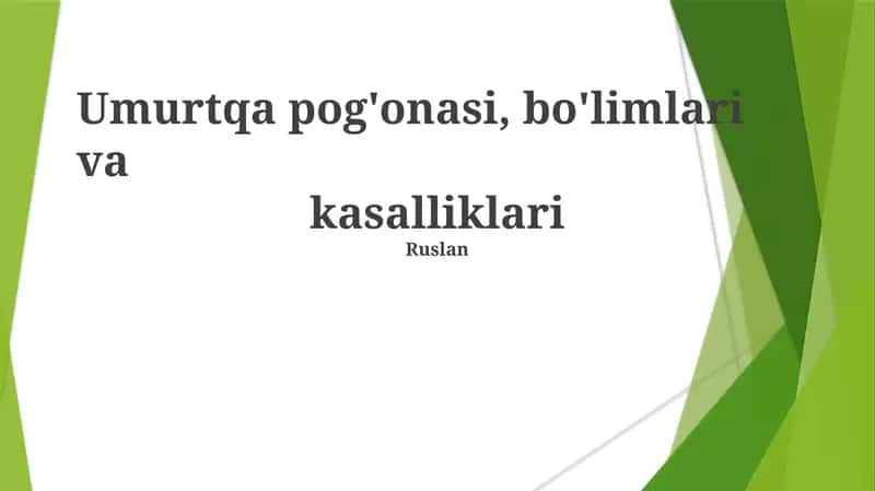 Umurtqa pog'onasi, bo'limlari va kasalliklari