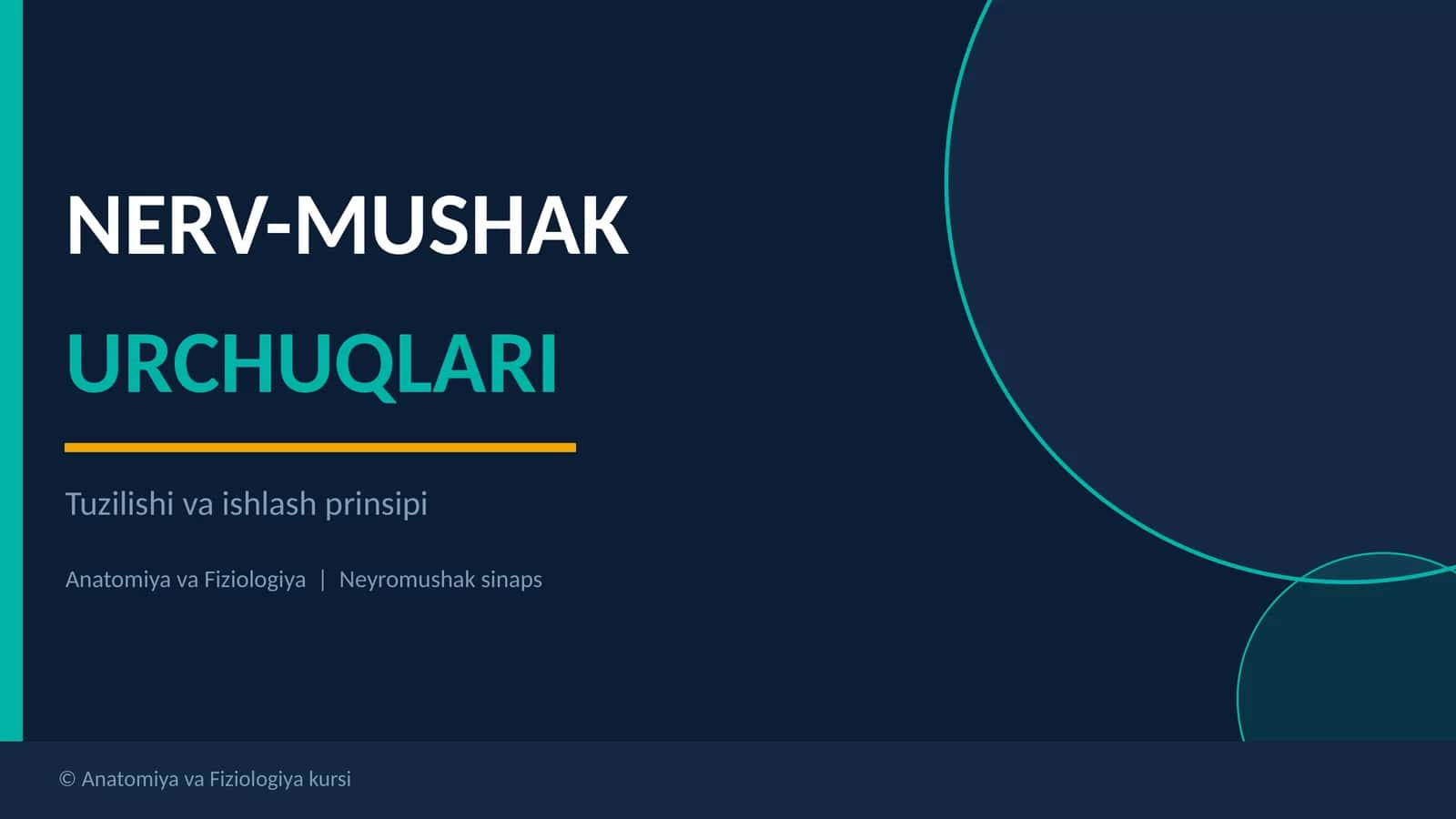 NERV-MUSHAK URCHUQLARI