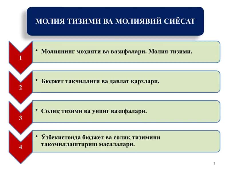 МОЛИЯ ТИЗИМИ ВА МОЛИЯВИЙ СИЁСАТ