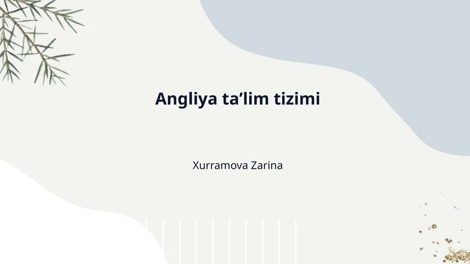 Angliya taʼlim tizimi