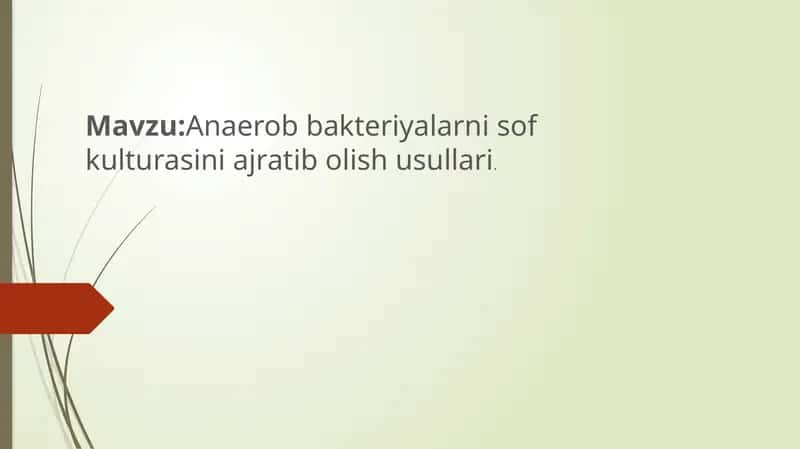 Anaerob bakteriyalarni sof kulturasini ajratib olish usullari.