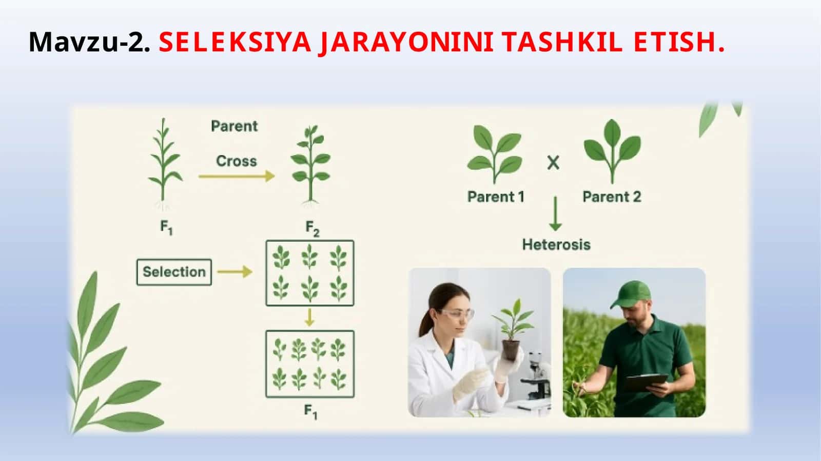 SELEKSIYA JARAYONINI TASHKIL ETISH