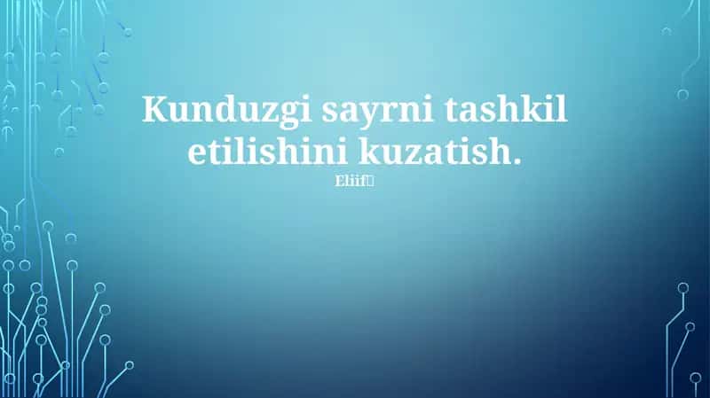 Kunduzgi sayr tashkil etish