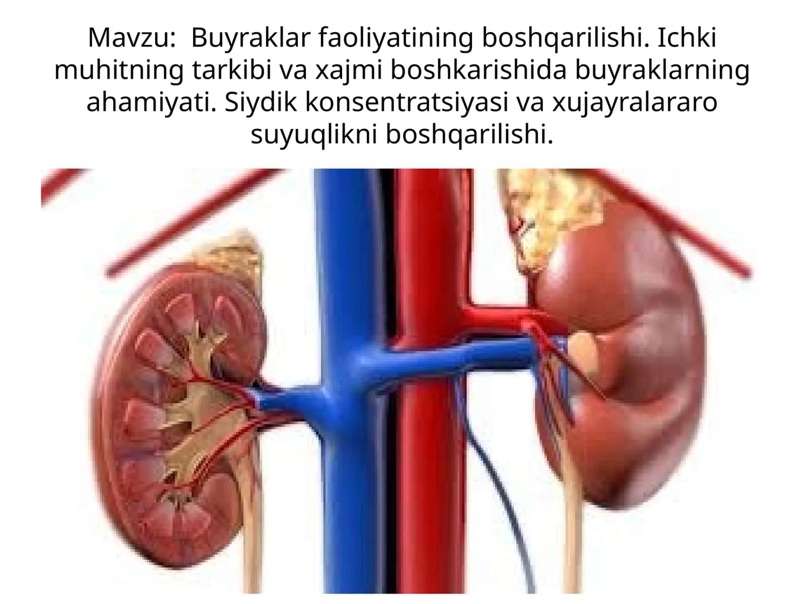 Buyraklar faoliyatining boshqarilishi