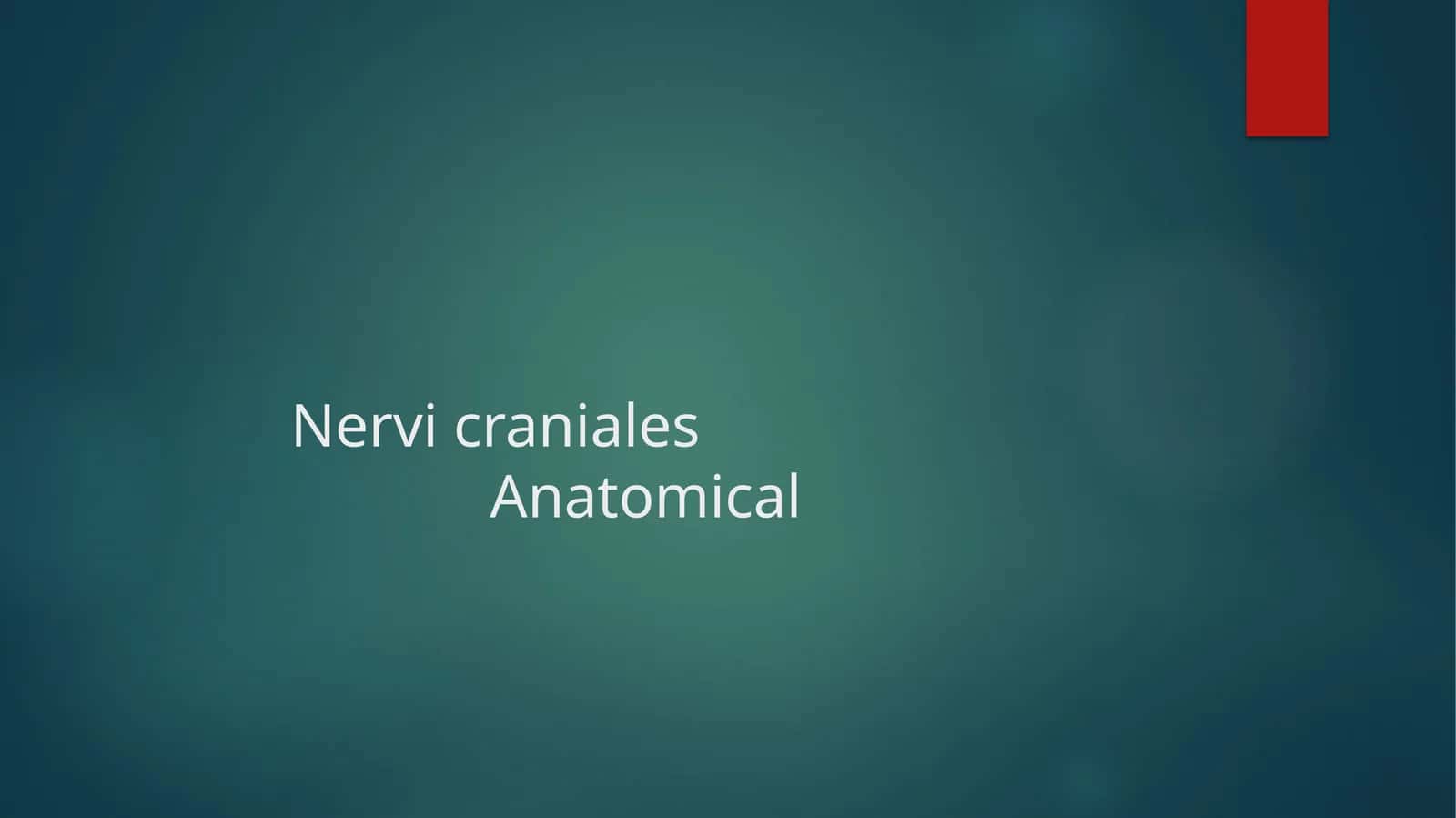 Bosh miya 12 juft nervlari Nervi craniales Anatomical
